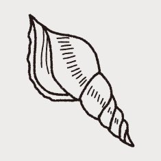 Shell doodle N52