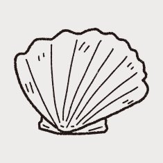 Shell doodle N53
