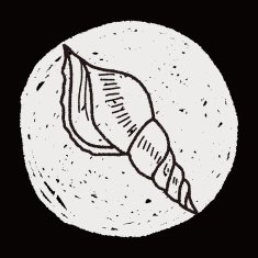 Shell doodle N55