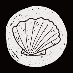 Shell doodle N56