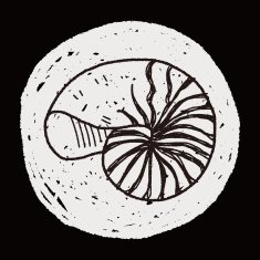 Shell doodle N57
