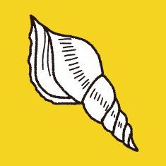 Shell doodle N58