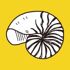 Shell doodle N60