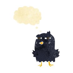 funny cartoon bird with thought bubble N20