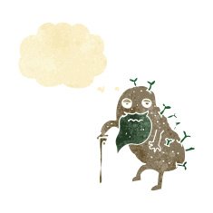 cartoon old potato with thought bubble N2