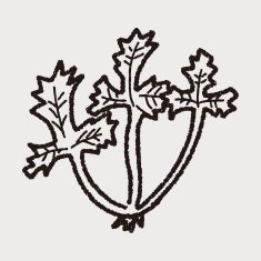 Parsley doodle N10