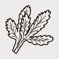 Parsley doodle N11