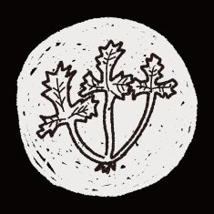 Parsley doodle N12
