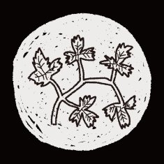 Parsley doodle N13
