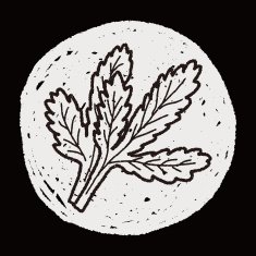Parsley doodle N14
