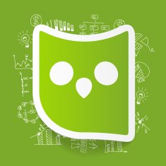 Drawing business formulas owl N9