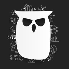 Drawing business formulas owl N10