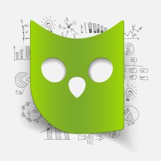 Drawing business formulas owl N12