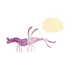 cartoon shrimp with thought bubble N7