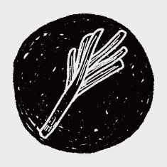 onion doodle N8