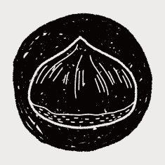 chestnut doodle N6