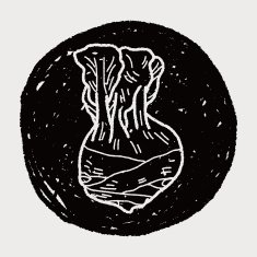 Cabbage doodle N31