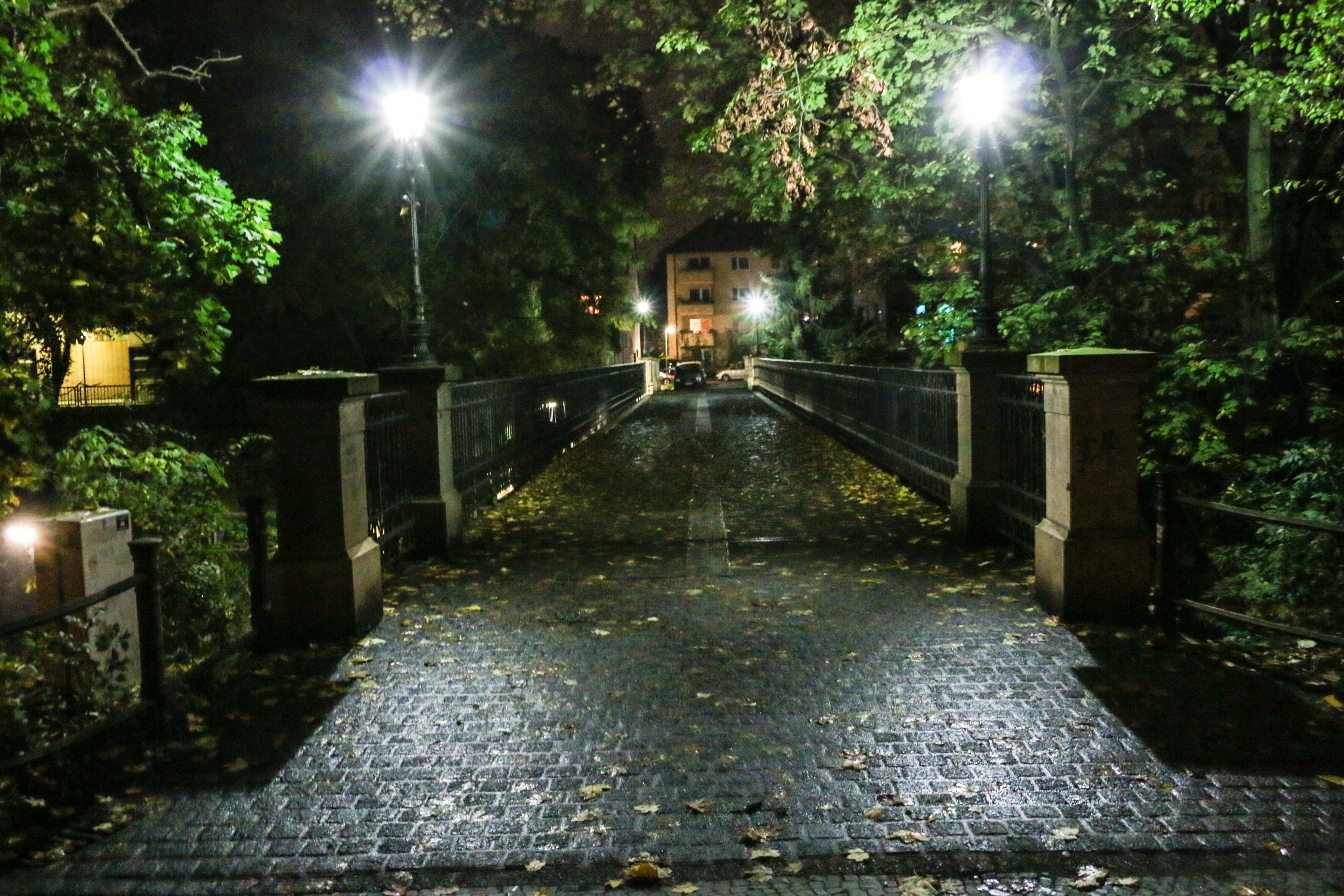 Мост с фонариками