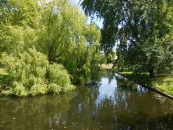 park in the London