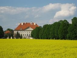 castle behind a yellow field and green trees