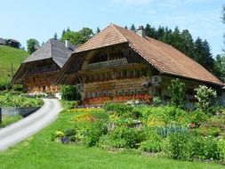 landscape of resort in a forest in switzerland