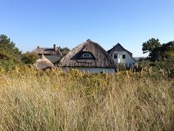 house with thatched roof landscape