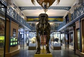 interior of museum of natural history, france, paris