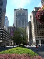 Trees among the skyscrapers of New York