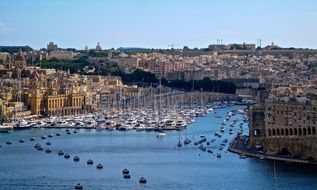 Mediterranean coast of Malta