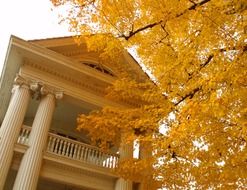 balcony of classic white building at autumn foliage