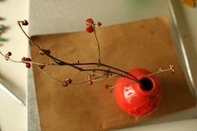 dried flowers in red vase