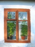 cottage old window