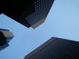 urban buildings from the bottom view