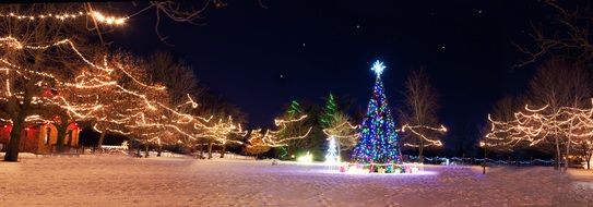 New Year's tree among the night winter park