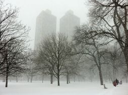 chicago illinois in the fog