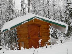 wooden hut in the snow among the forest