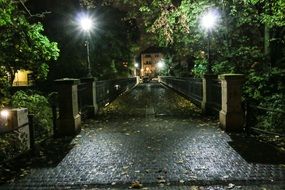 landscape of cobbled bridge in braunschweig at night