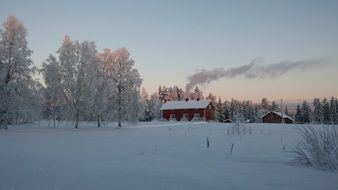 Landscape of snowy countryside