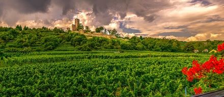 the castle by the green field