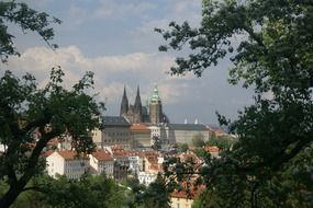 distant view of Prague castle and trees