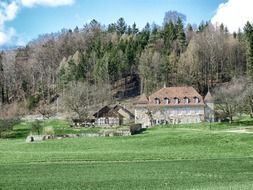 switzerland forest