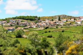 green rural landscape