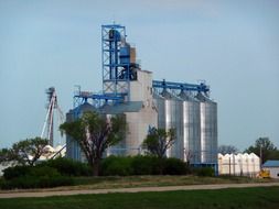 grain elevator in agriculture
