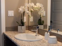 Bathroom with beautiful white flowers