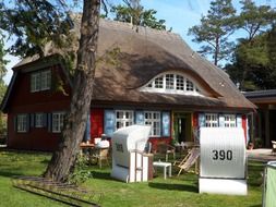 cozy thatched house