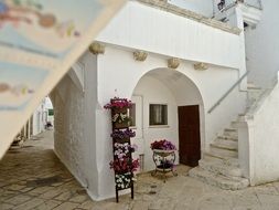 multi-colored potted flowers in front of a beautiful white building