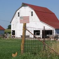 white barn farm