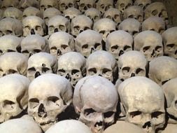 human skulls are stacked next to each other