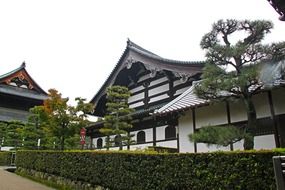 green bushes near tofukuji temple in japan