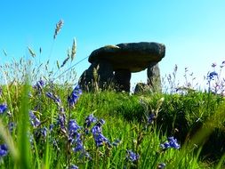 A giant stone table among the meadows in Cornwall